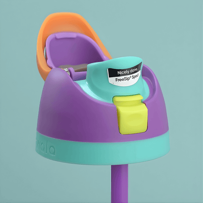 DRAKE – Bouteille de sport isotherme Owala en acier inoxydable avec paille et conception anti-fuites (32 oz / 945 ml)