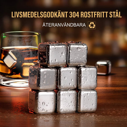 BERNT - Herbruikbare roestvrijstalen ijsblokjesset voor whisky, wijn en cocktails