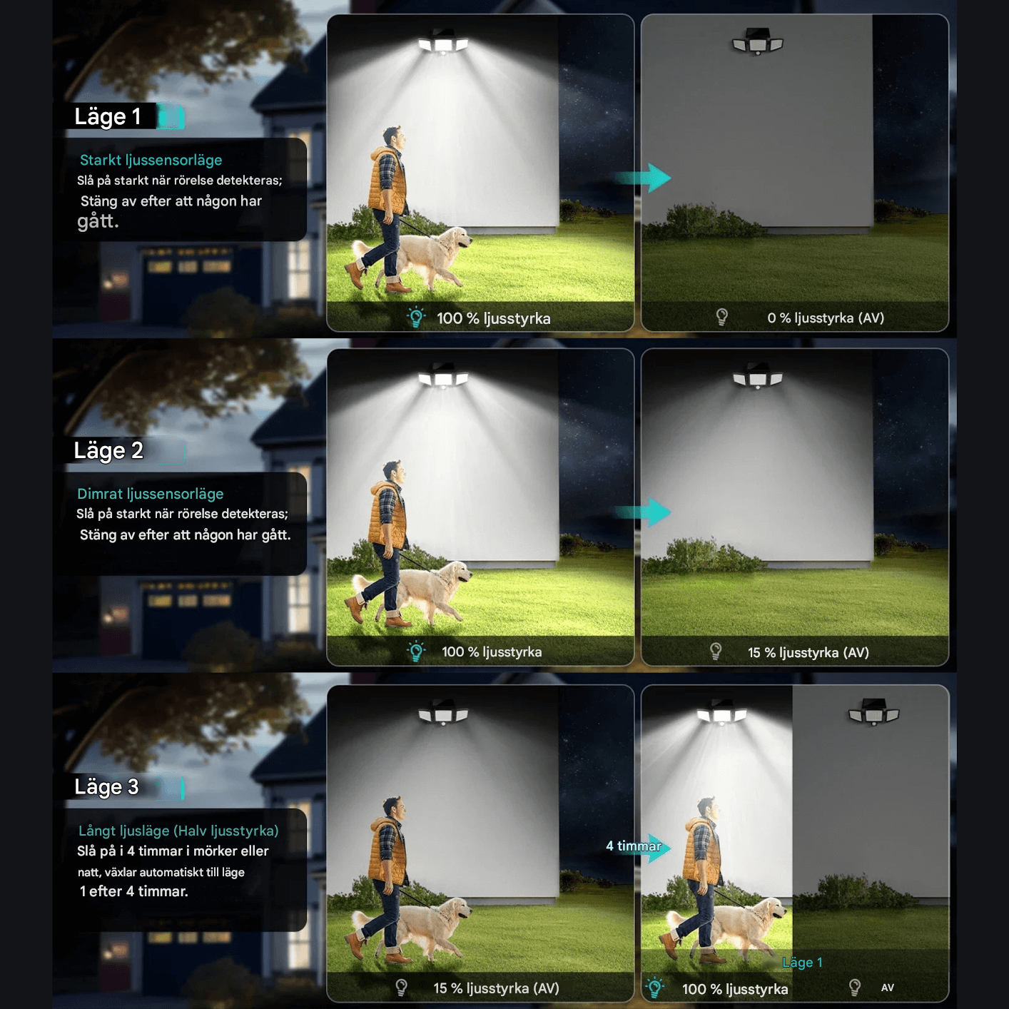 WESLEY – Éclairage extérieur à 3 têtes alimenté par énergie solaire avec détecteur de mouvement et télécommande pour jardins, façades et allées